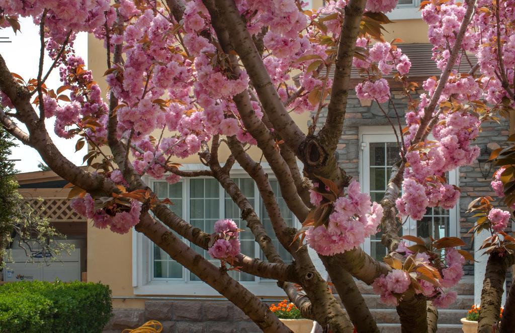 Villa Inn No.21 Seaside Qingdao Exteriör bild